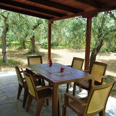 Ktima Elia Villa Skala Sotiros Luaran gambar
