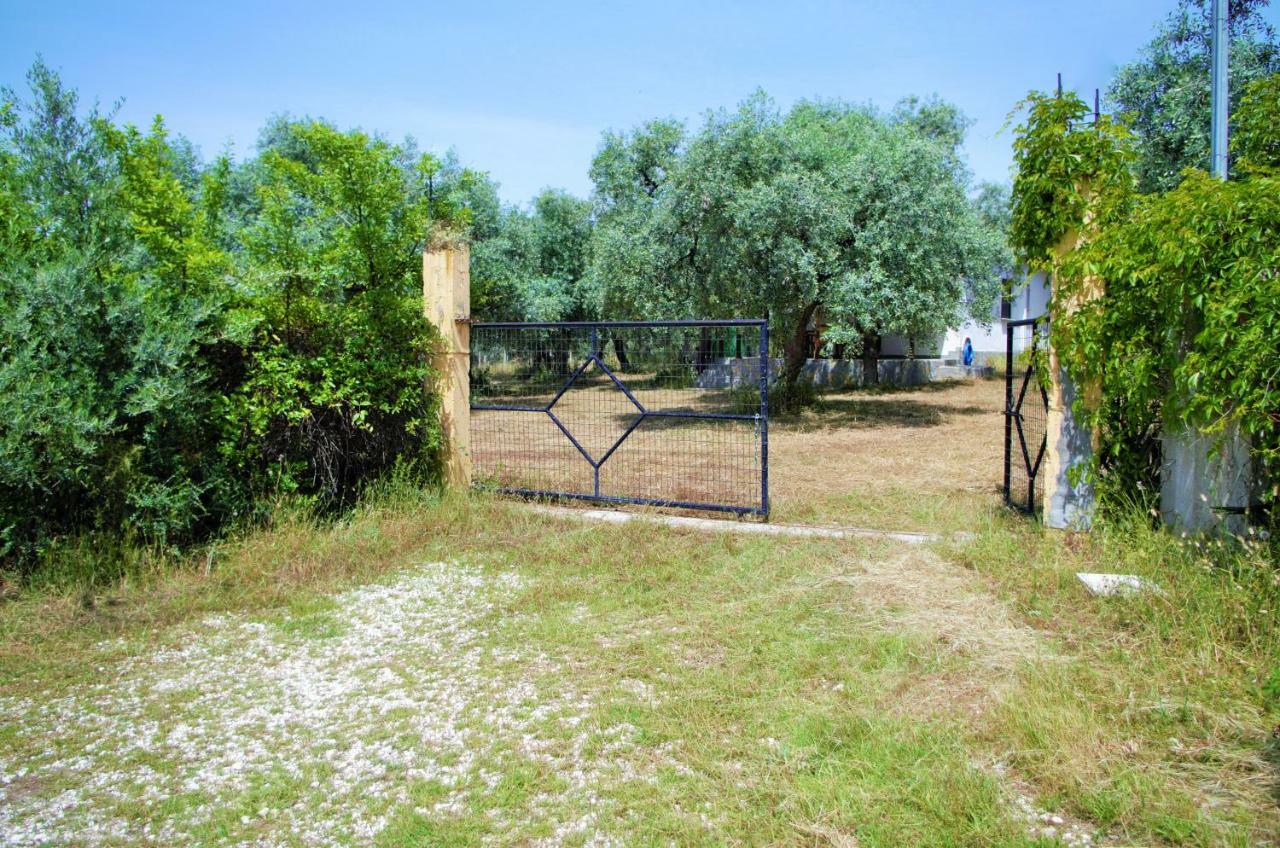 Ktima Elia Villa Skala Sotiros Luaran gambar